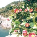 왕대발전소 | 꼭 가볼만한 여행지