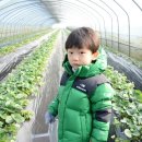 원덕농장 이미지