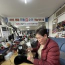 으뜸수선 이미지