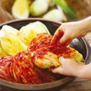 장수도깨비동굴김치영농조합법인 | 김치쇼핑몰♡전라도김치맛집,김장김치,100%국내산재료로 믿고 먹을 수 있는 <장수도깨비동굴김치>추천
