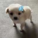 경동 모텔 | 250309 배 찢어지게 웃어본 적이 언제이던가