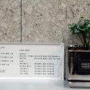 9월헤어
