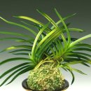 서반농장 이미지