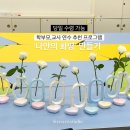 신평초등학교 | 구미 제스모나이트 단체수업 ‘나만의 화병’만들기 학부모 연수 추천