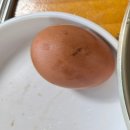 충북옥천맛집 옥천올갱이해장국 &#34;가마솥병청순대 옥천향수올갱이&#34;