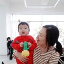 겨미 이미지