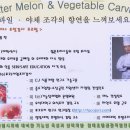 12월 특강(야채및과일조각) 입니다 이미지