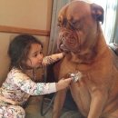 대전메디컬 이미지