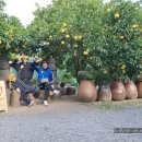 문기 농장 이미지