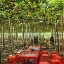 낭만목장 이미지