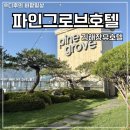 세븐일레븐(김해장유점) | 김해 장유 파인그로브호텔 재방문 후기 호캉스 스파까지 즐긴 장유 호텔