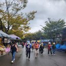 10월18일(금)광천 토굴새우젓축제 이미지