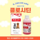 초코약국 이미지