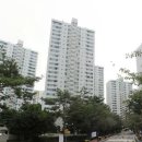 대원아파트 앞 이미지