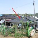 유현 축사 이미지