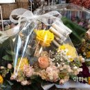 아띠-Lflower 이미지