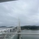 탑정호출렁다리 | 논산 탑정호 출렁다리 방문 후기
