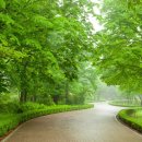 브로디캠프 이미지