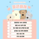 연유치원 | 여수애견유치원 포근하개 처음 이용해 본 솔직 후기 재방문의사 있는 곳