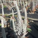 김관호한의원 이미지