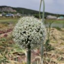 부건농장 이미지