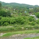 강림면314 이미지