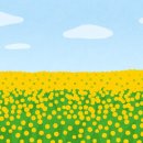 Resilience 이미지