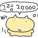 놀러오개 애견유치원 애견호텔 안양점 이미지