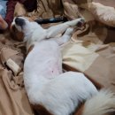 현우카센터 이미지