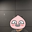 데일리스튜디오 이미지