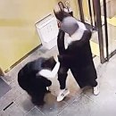 배이비인후과의원 이미지