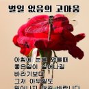 헤어살롱지지상모점 네이버블로그