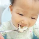마니산친환경영농조합법인 | 강화쌀 곡물충전소 363 현미아닌 백미같은 너