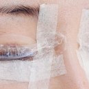 사파동101 이미지