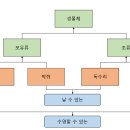 인터페이스