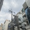 라이온헤어5F | 청담 압구정로데오 가성비 좋은 미용실 추천 라이온헤어 염색 컷트후기