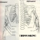 내근 이미지