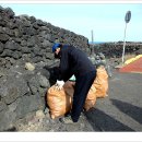 동복환해장성 이미지