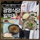 일억조 | 제주여행 국밥 맛집 : 동문시장 광명식당 순대국밥, 애월읍 일억조 접짝뼈국 최자로드 내돈내산 후기