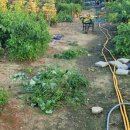 뽑기 좋은날 이미지