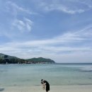 시칠리팬션 이미지