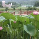 대야리(대실) 이미지