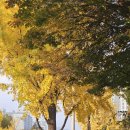 갈미문학공원 | 모락산, 가을 단풍이 절정인 안양 등산 코스