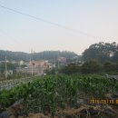 부2리마을회관 이미지