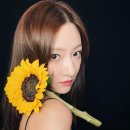 서월 이미지