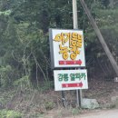 강릉아기동물농장 이미지