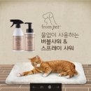 프롬펫 이미지