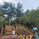 통영케이블카(상부) | 통영케이블카 신선대전망대, 스카이워크 후기