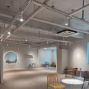 독트럴파크 이미지