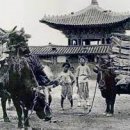 쏘울푸드 - 마포구 | 쏘울푸드